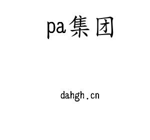 pa集团集团